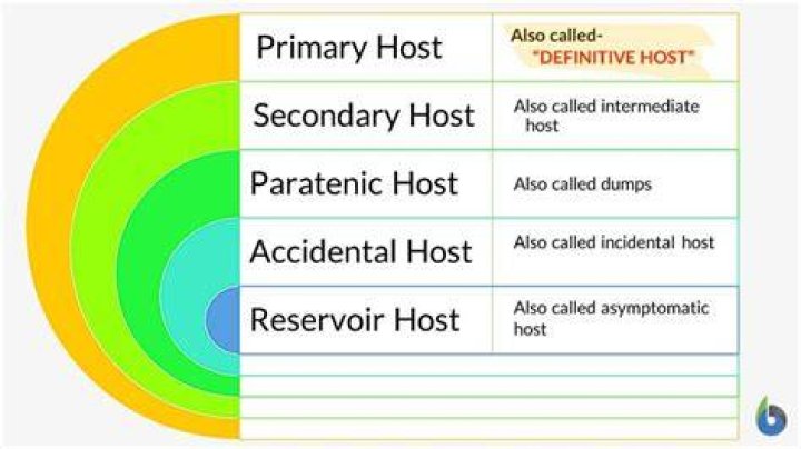 Host- primary