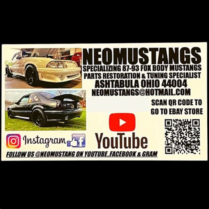 Neomustangs